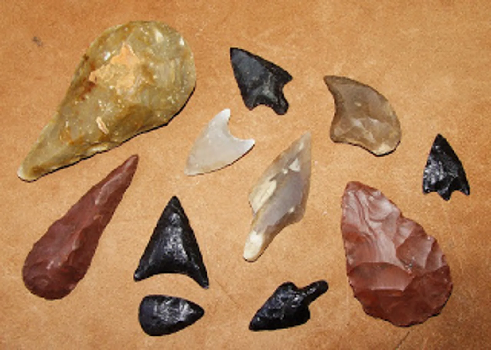 Selci, monili preistorici e piccoli fossili in vendita al bar