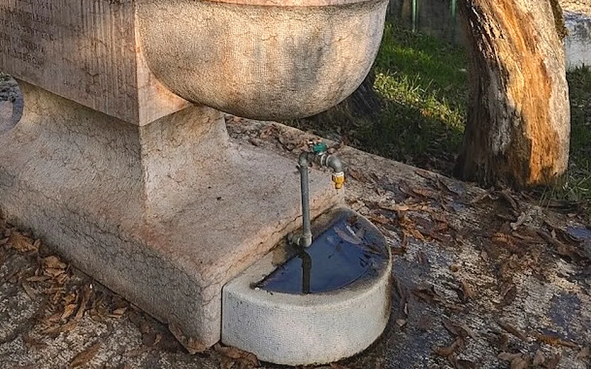 The small basin with running water at the foot of the fountain, for dogs to drink from