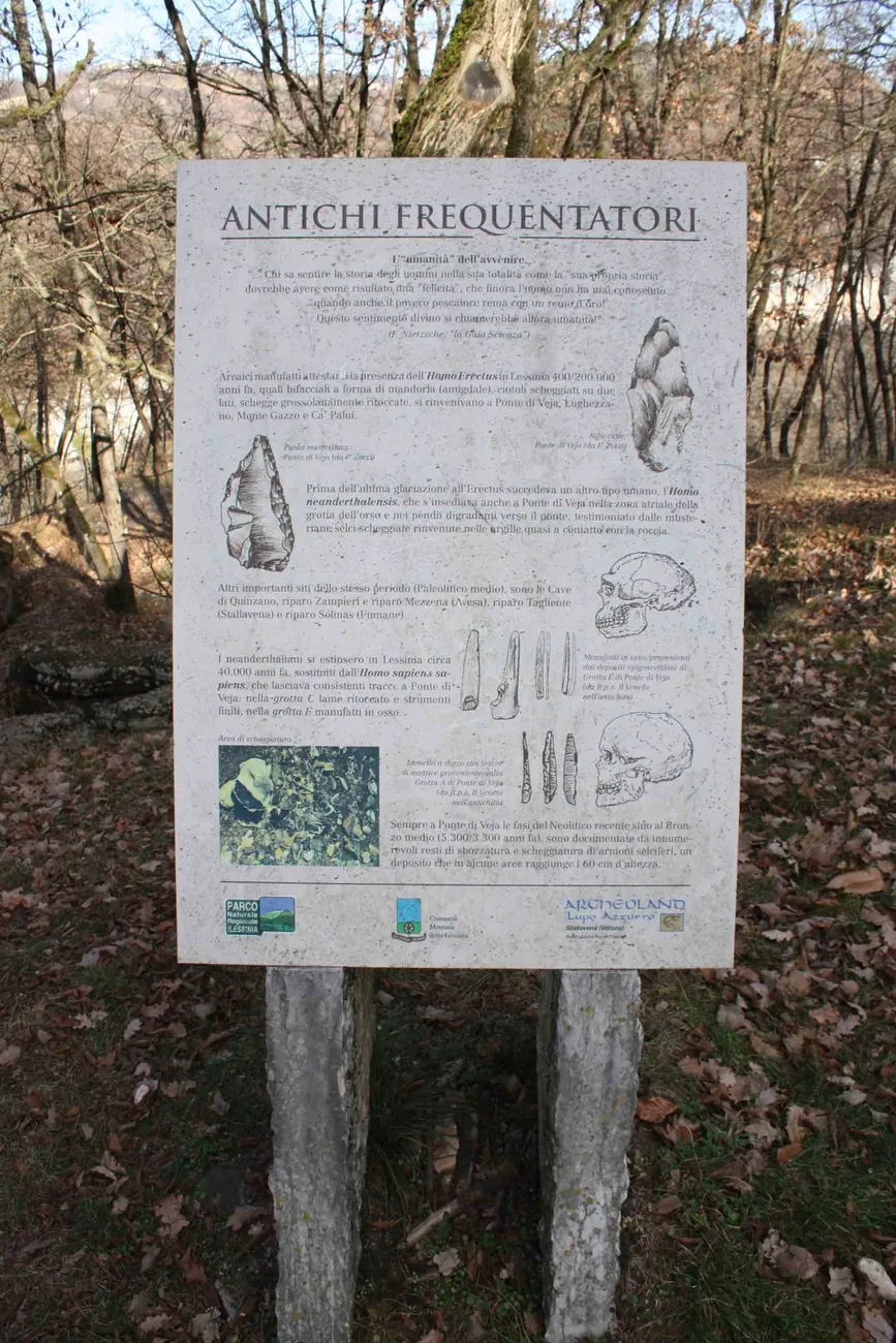 The Park's Ancient Inhabitants panel, with the skulls and tools of Homo erectus, Neanderthal man and Homo sapiens found at the Ponte di Veja