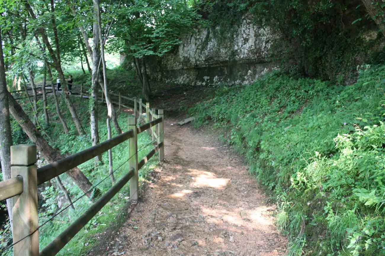 The trail leading to the bridge