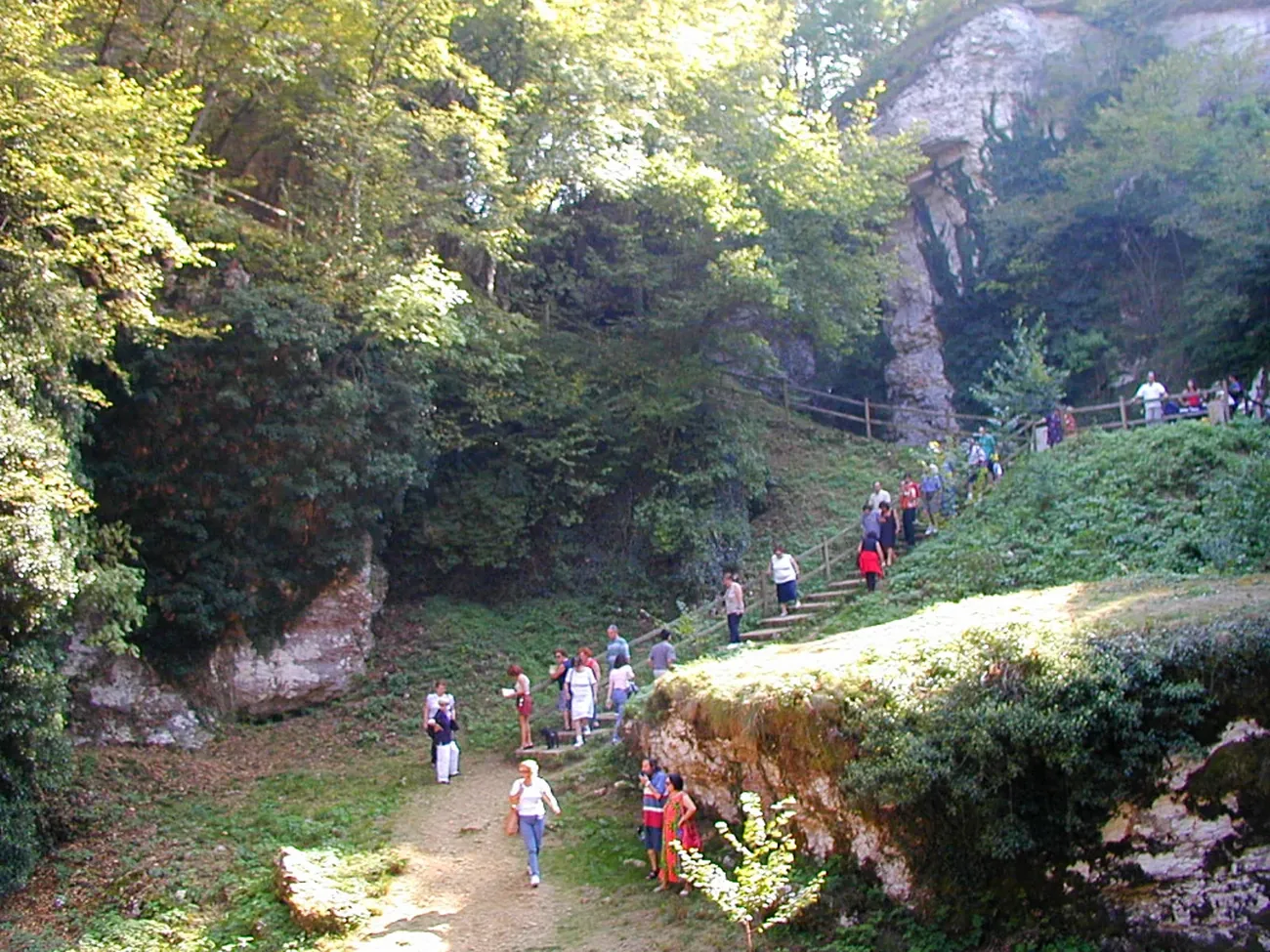 Overall view of the Ponte di Veja